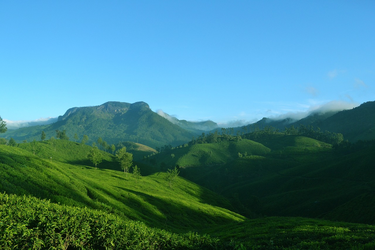 Munnar Alleppey Summer Trip Package: Best Kerala Vacation